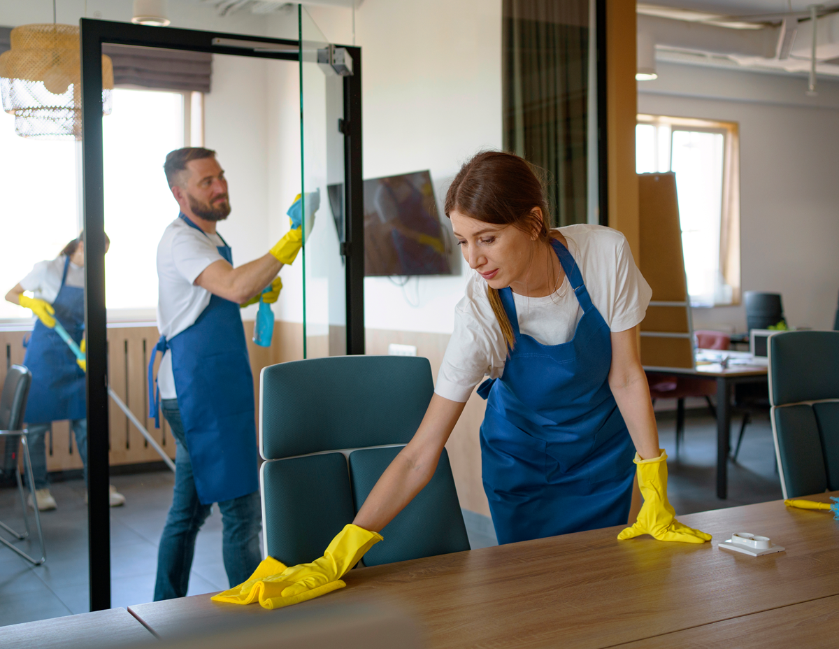 Orhangazi Ev Temizliği